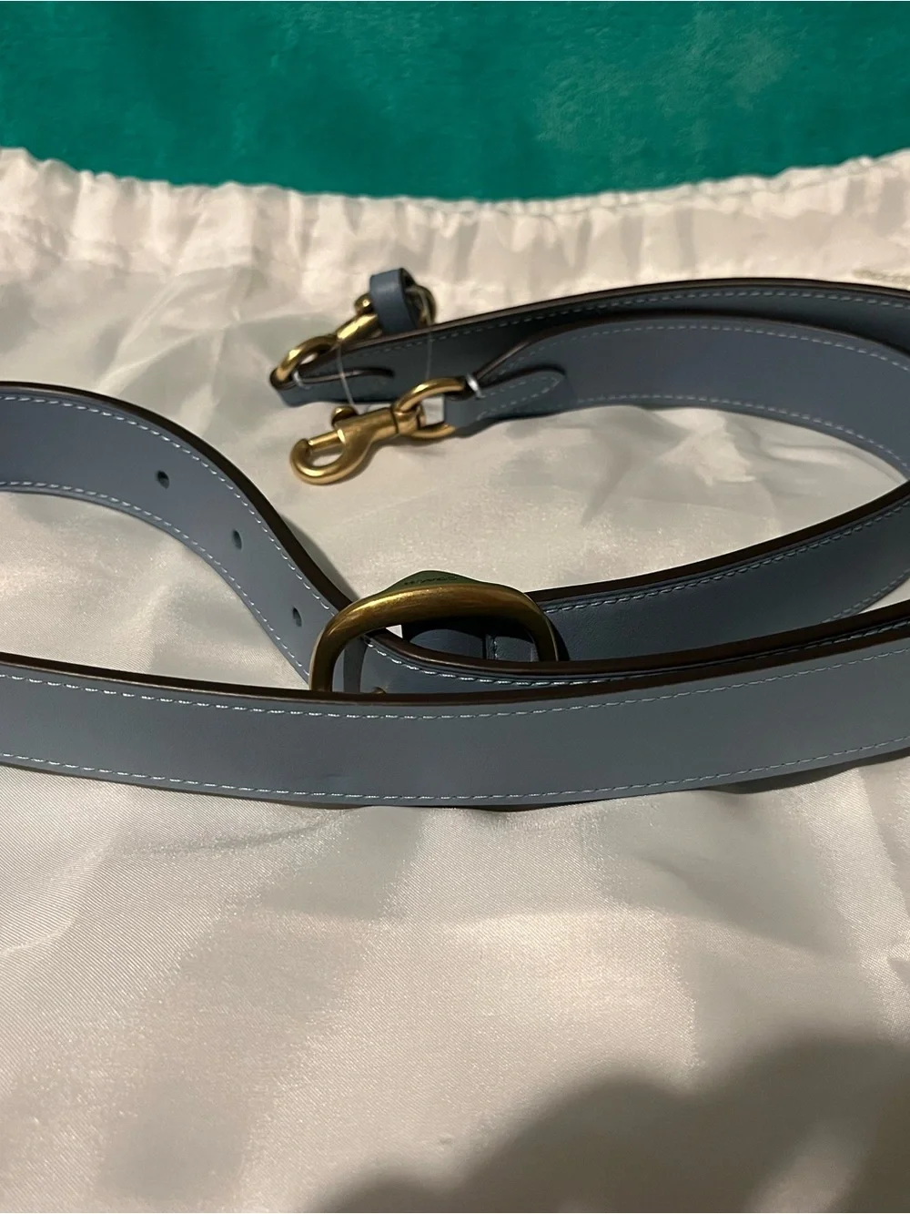 Coach elegant blue